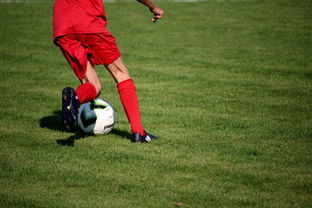 开云体育下载-体育新闻中心构建体育赛事全媒体传播体系，体育赛事的媒体宣传需要向媒体经营单位直接支付费用  第3张